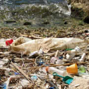 The challenge: Plastic-waste at the shoreline and in the sea