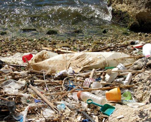 Das Problem: Plastik-Müll am Strand und in den Weltmeeren